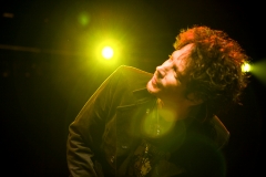 Chris Cornell 2007