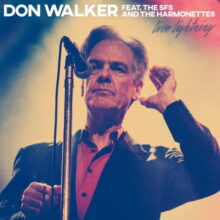 Don Walker Live Lightning